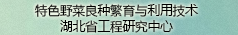 特色野菜良种繁育与利用技术湖北省工程研究中心